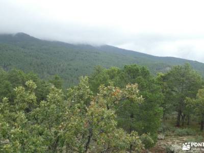 Bosque Plateado de La Jarosa; tiendas de alpinismo en madrid parques naturales de la rioja turismo p